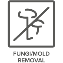 Fungi/mold removal